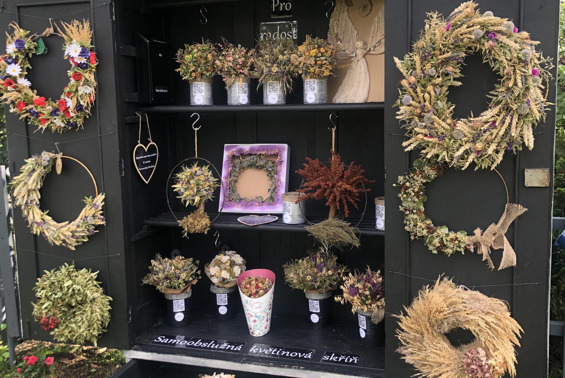 Pro radost - Alena Lončíková