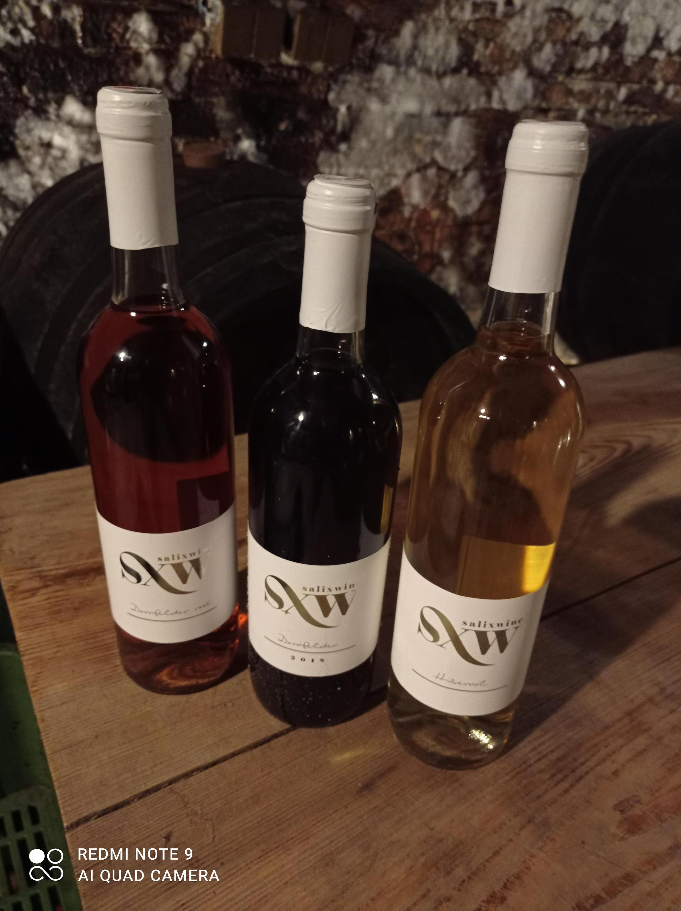 salixwine.cz foto 1