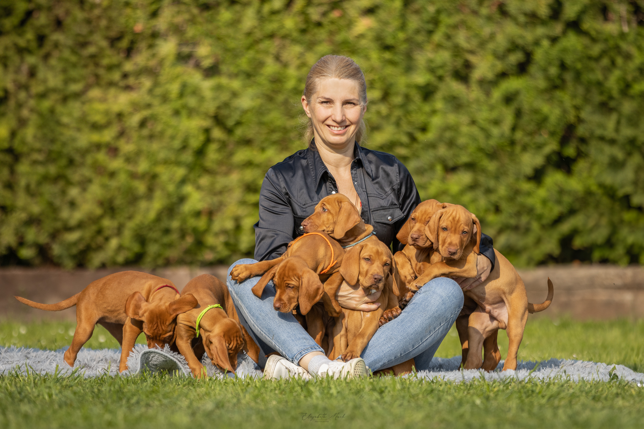 Zlatnictví Jitka Kubátová foto 2