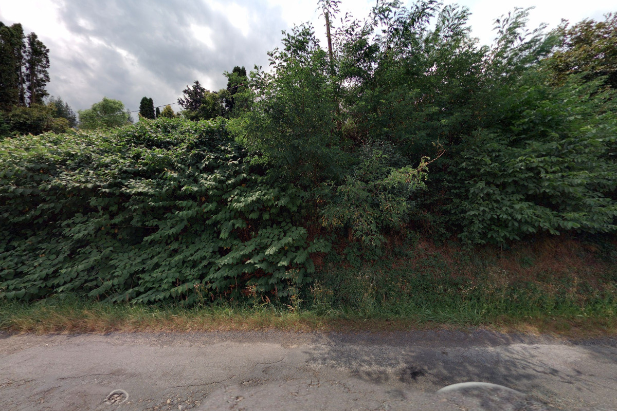 Chalupa nad Čertovými rybníky foto 1