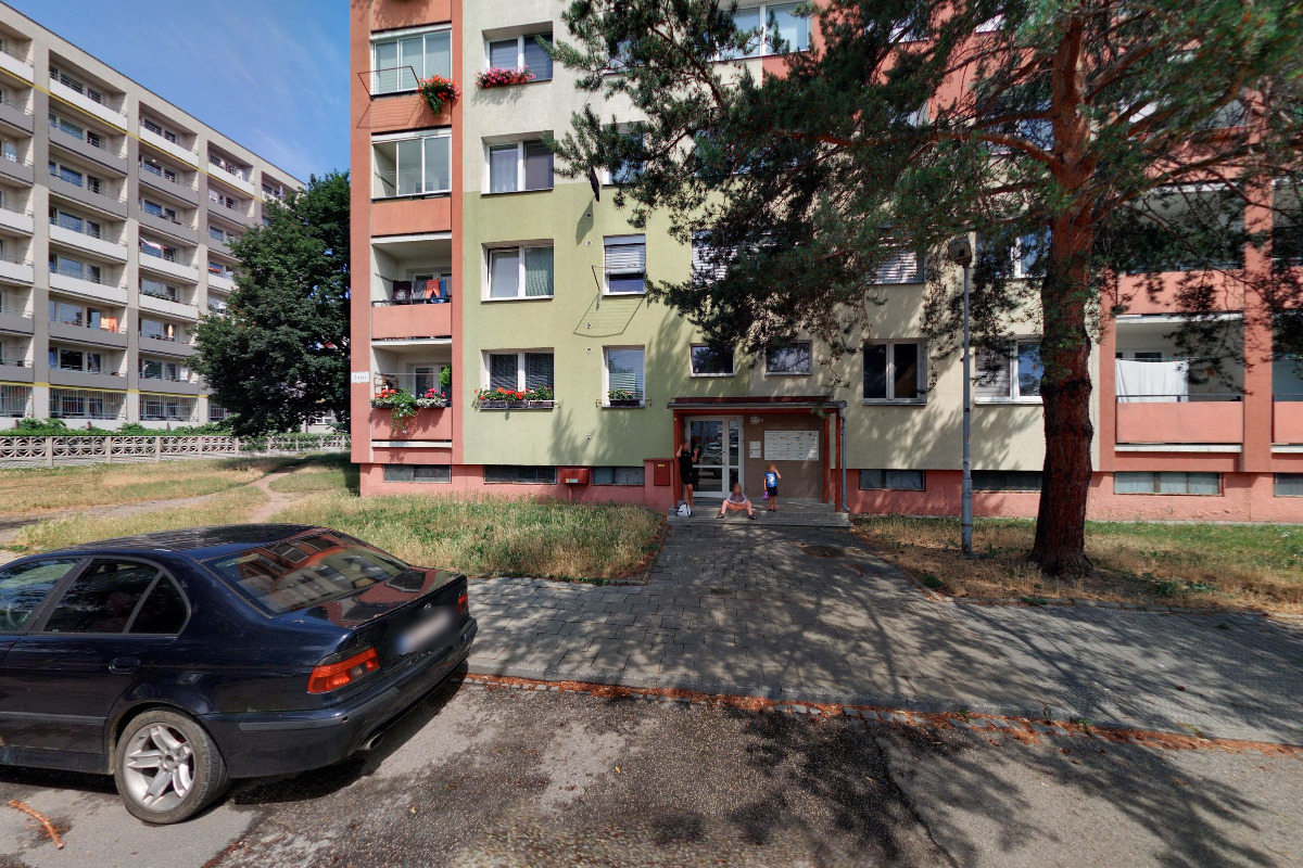 Statistické zpracování dat - Ing. Mia Radová foto 2