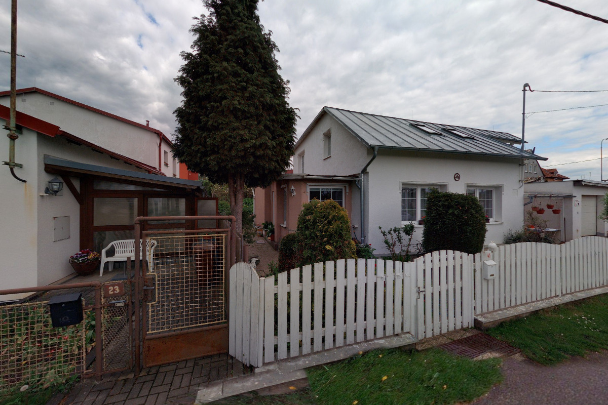 Stříhání psů Klára Honomichlová