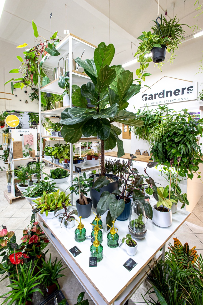Gardners foto 2