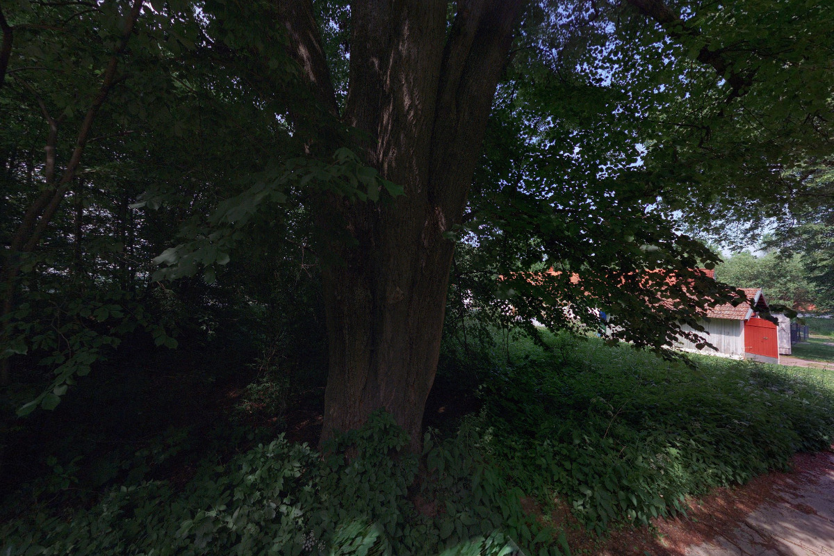 Chalupa u Pilných foto 5