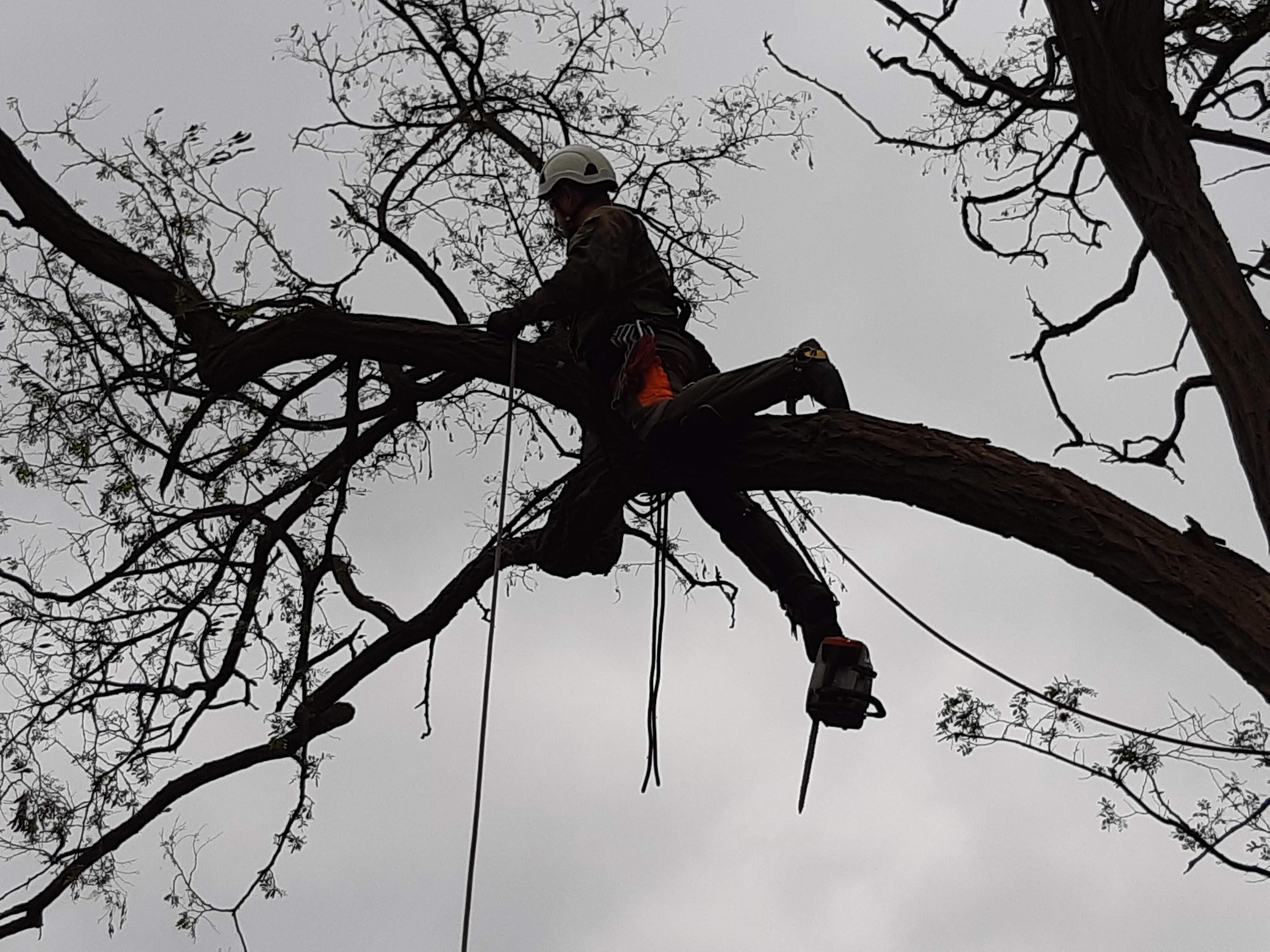 Výškové práce Benda s.r.o. foto 5