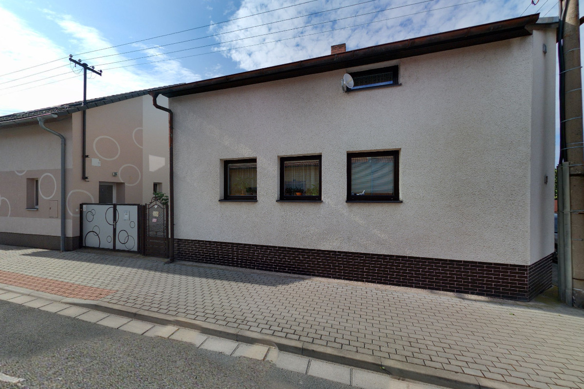 Výcvik psů - ŤUYI TEAM foto 2