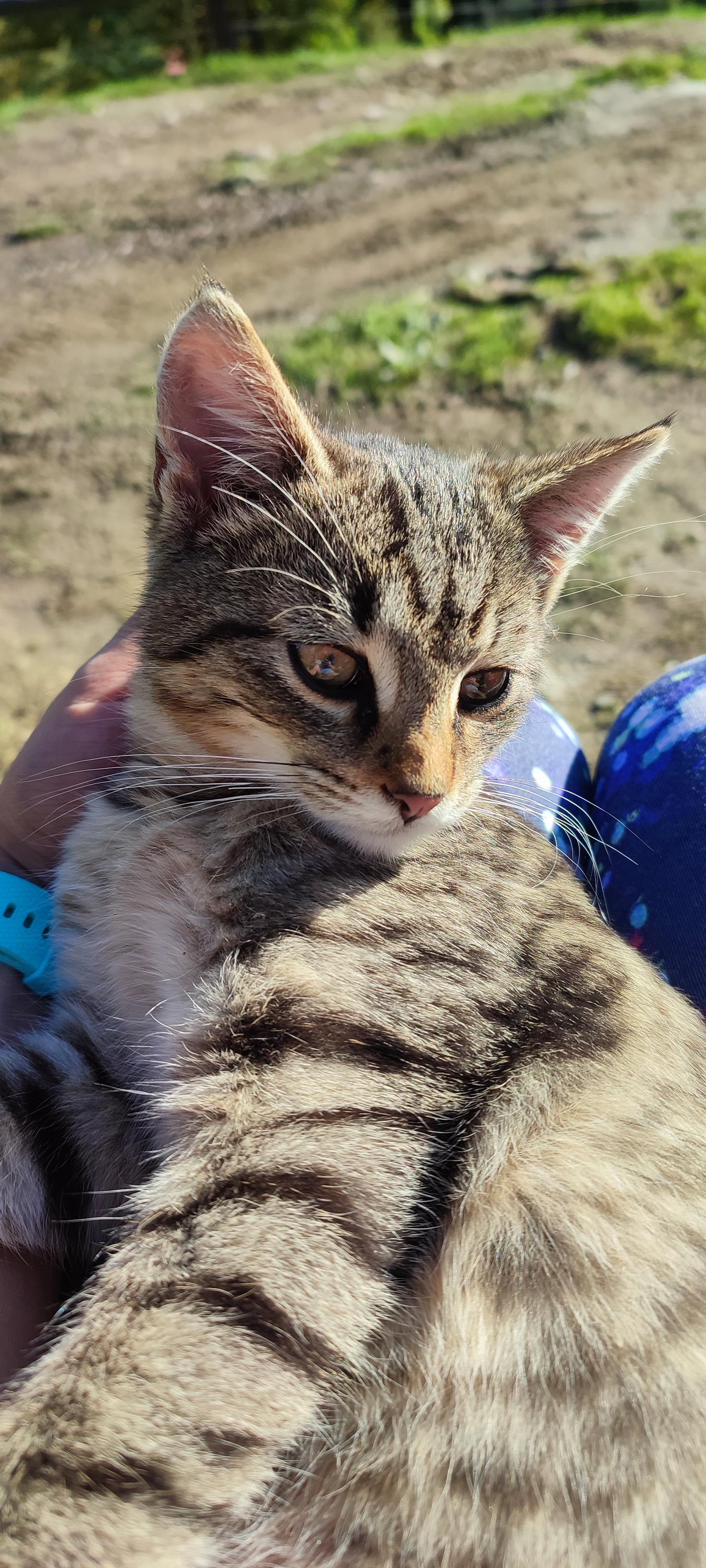 Malá Farma Spálensko - Bratrouchov foto 6