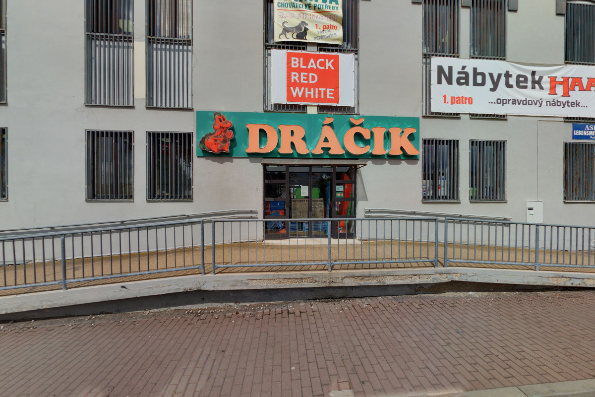 DRÁČIK foto 2