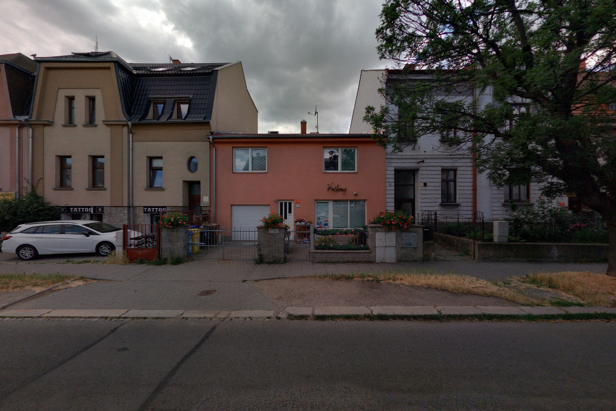 Květiny Strelicie foto 2