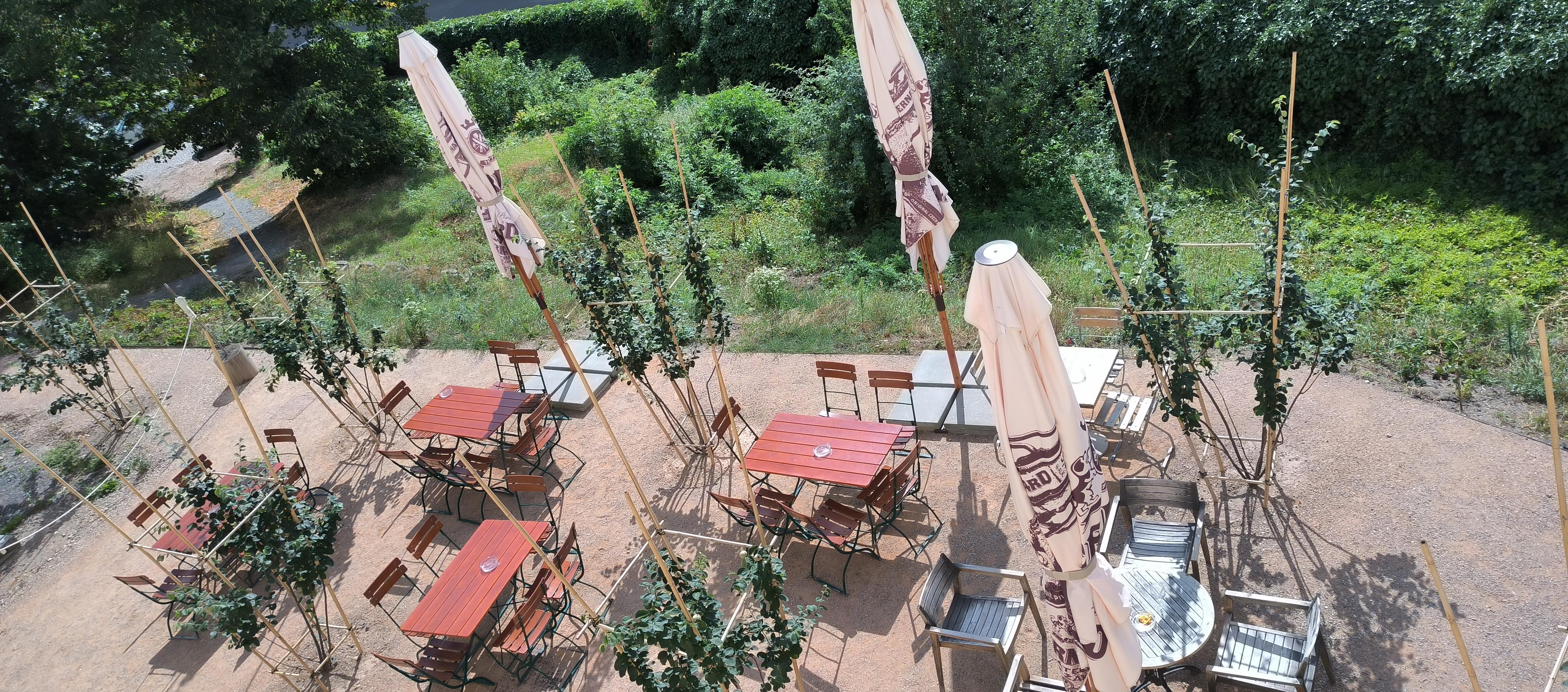 Café Emauzy foto 5