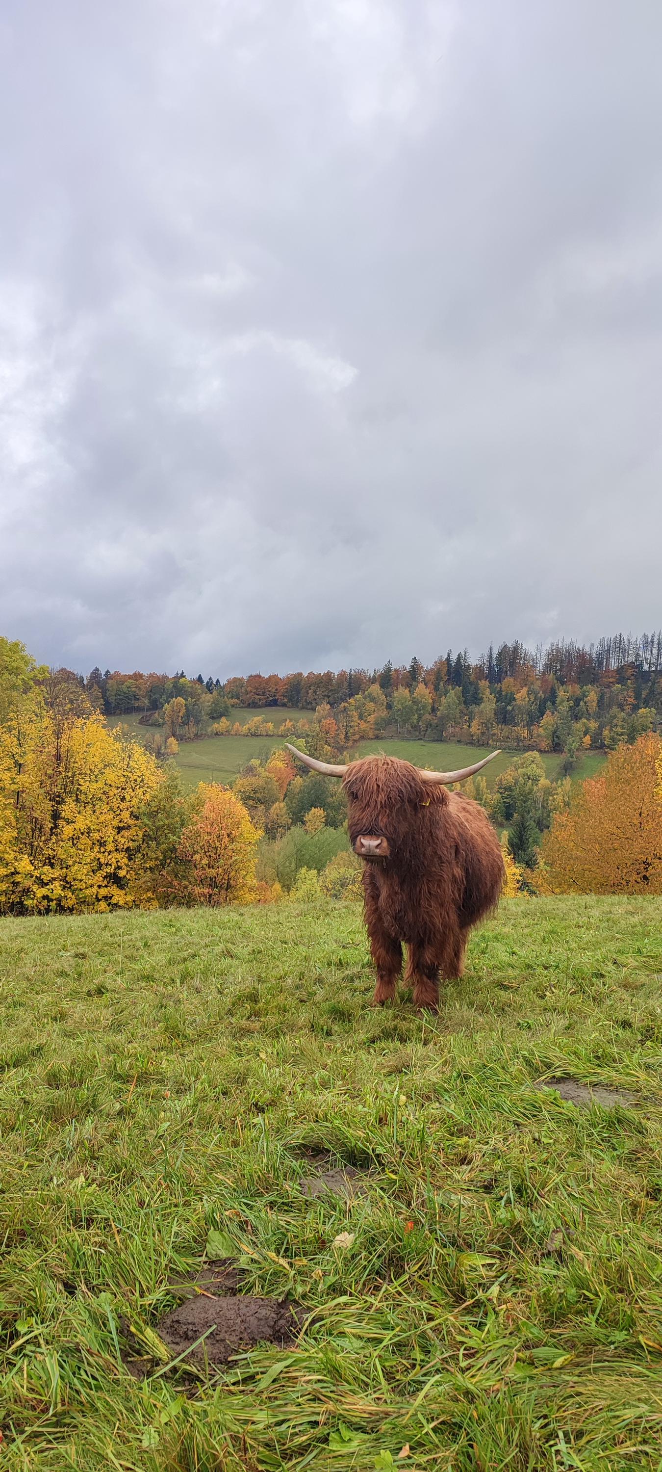 Malá Farma Spálensko - Bratrouchov foto 6