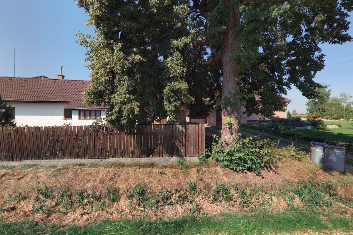 Taťána Čtvrtníková