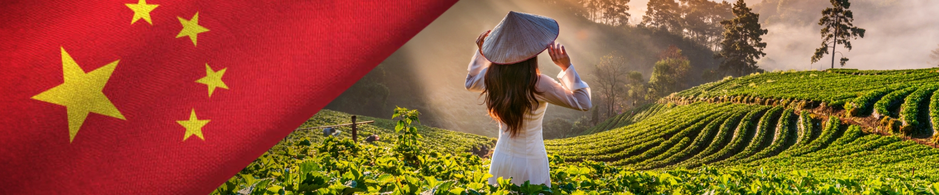 Úvodní obrázek JOUGROUP s.r.o.