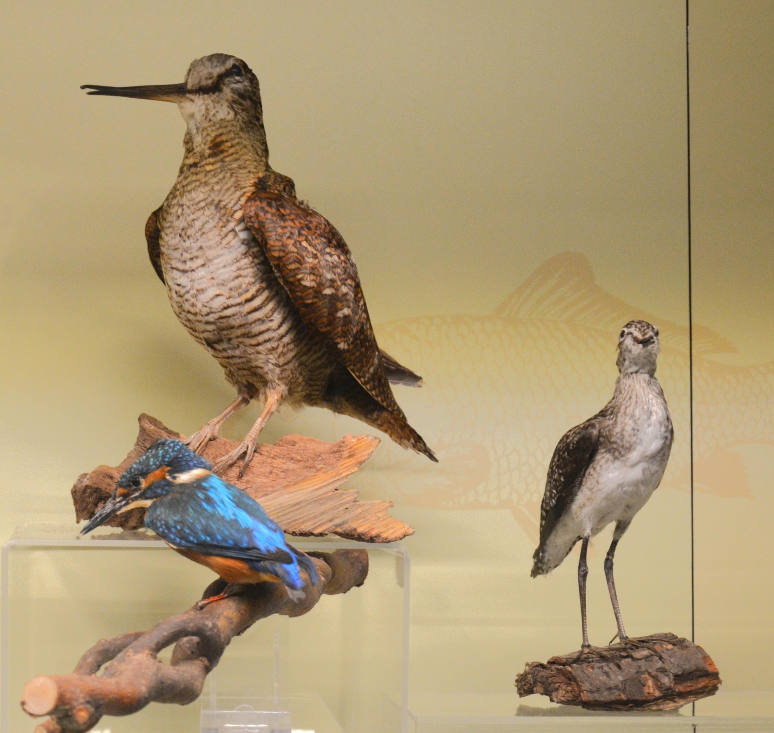Národní zemědělské muzeum foto 2