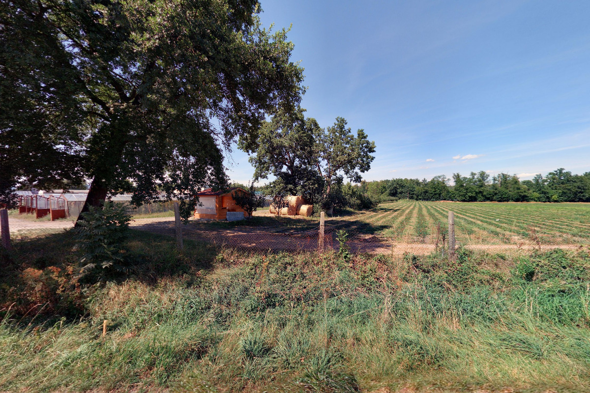 Jahody Vodňany - Manho CZ