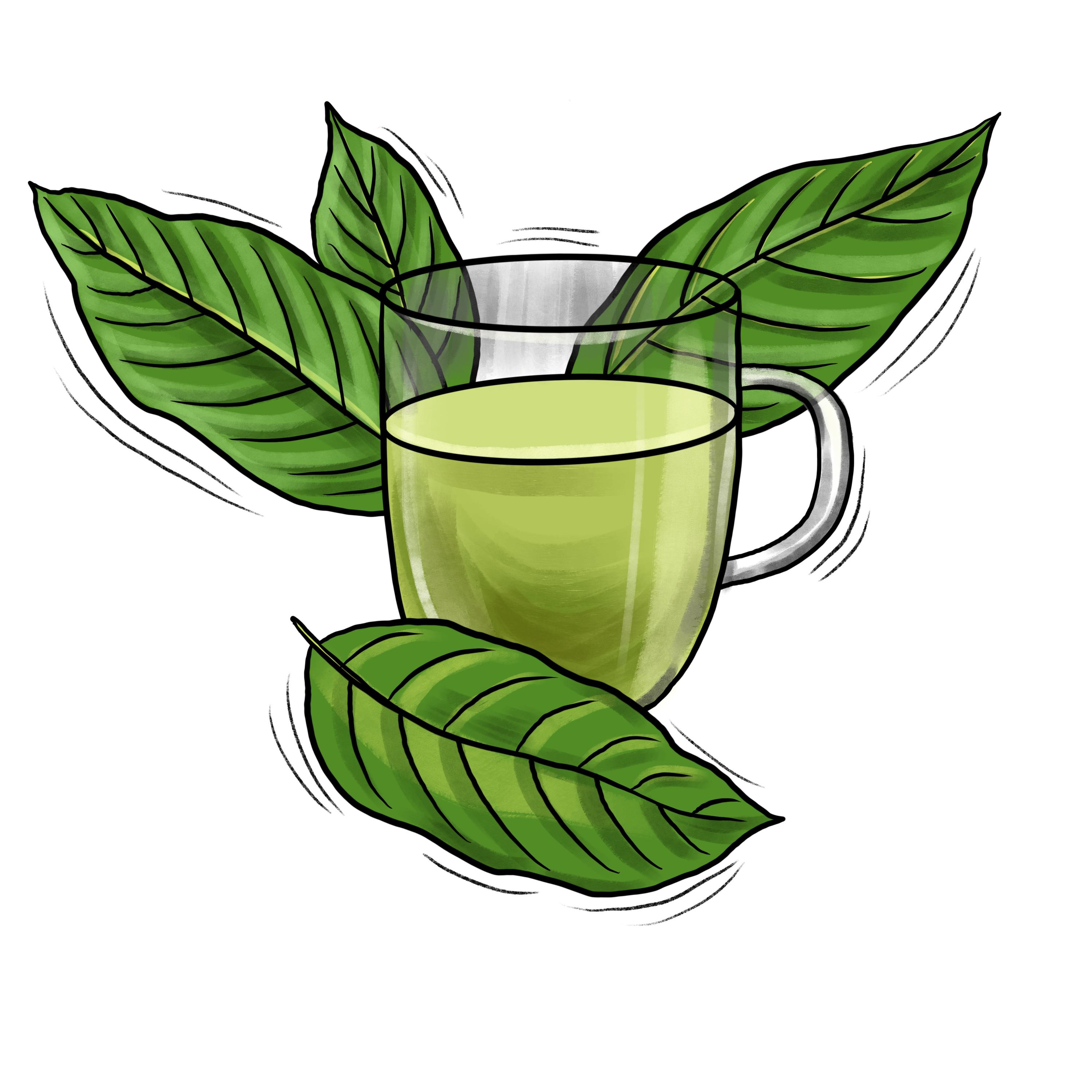 Kratomexpert.cz foto 3