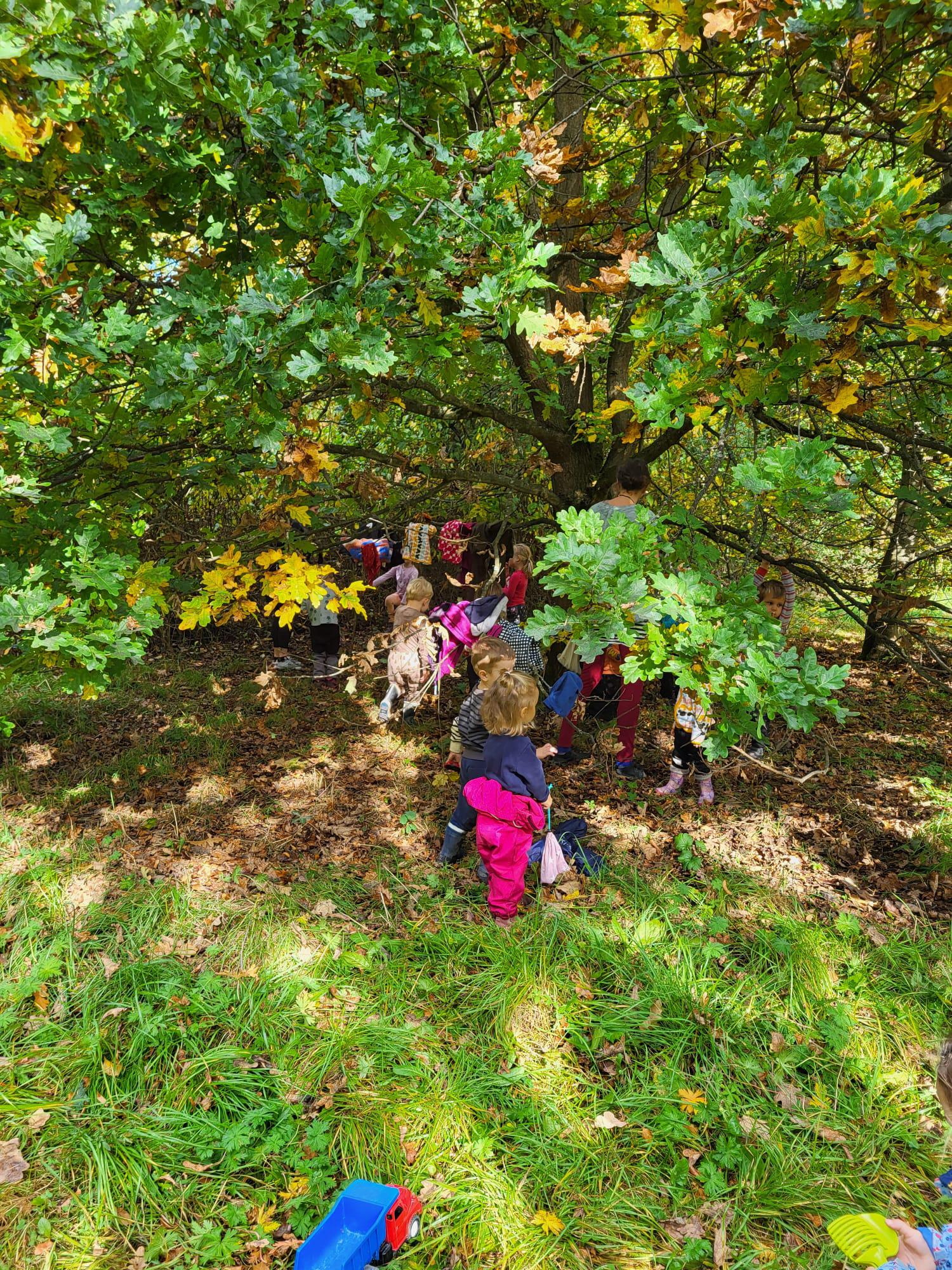 Lesní klub Veselá sýkorka foto 3