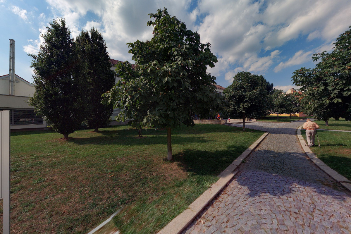 Tělovýchovná jednota Jevíčko