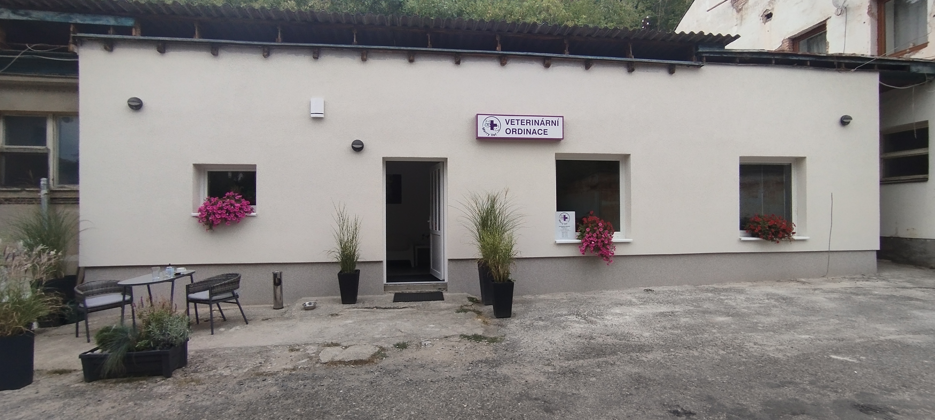 MerryVet foto 4