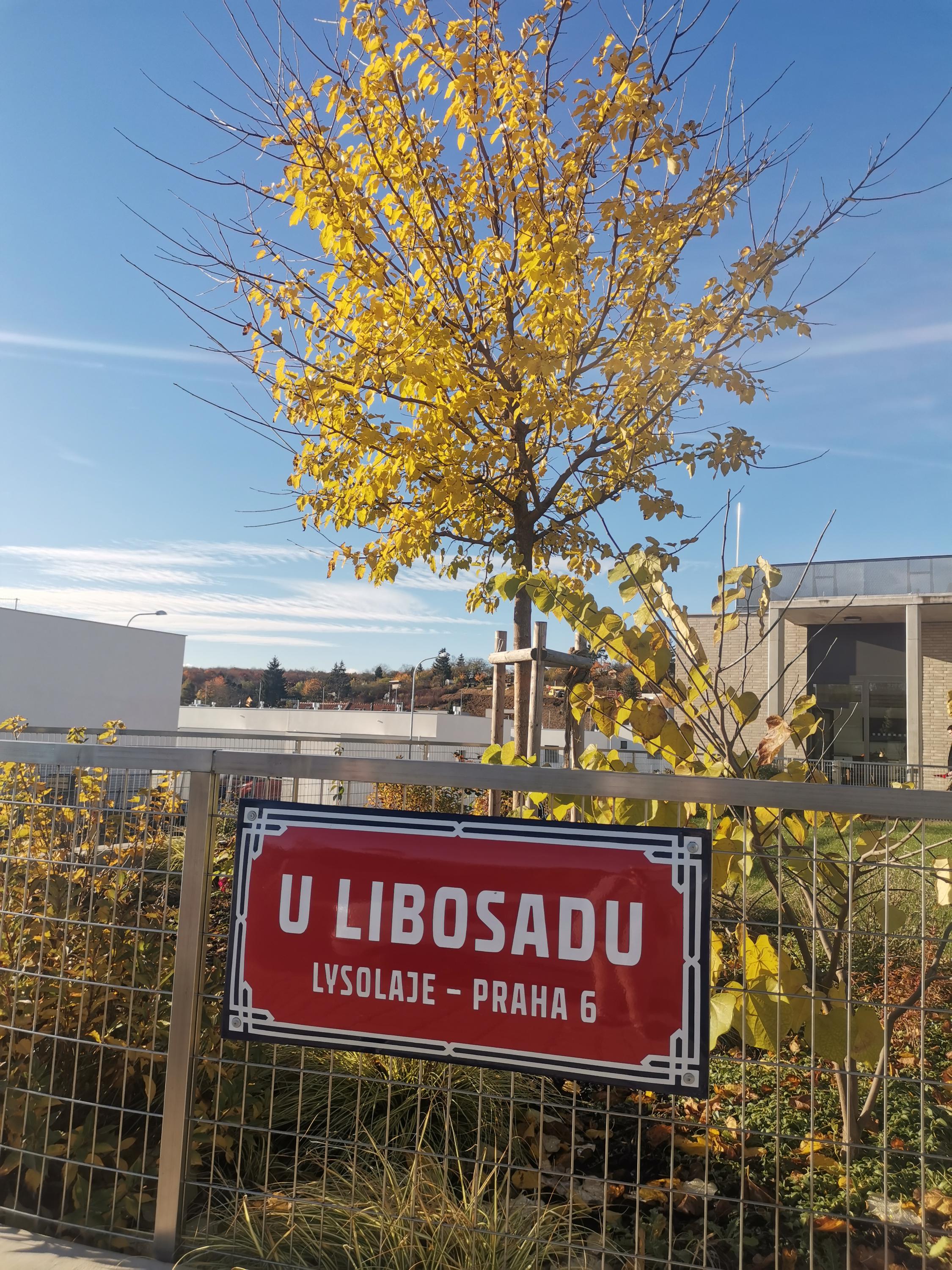 Místní knihovna Lysolaje foto 2