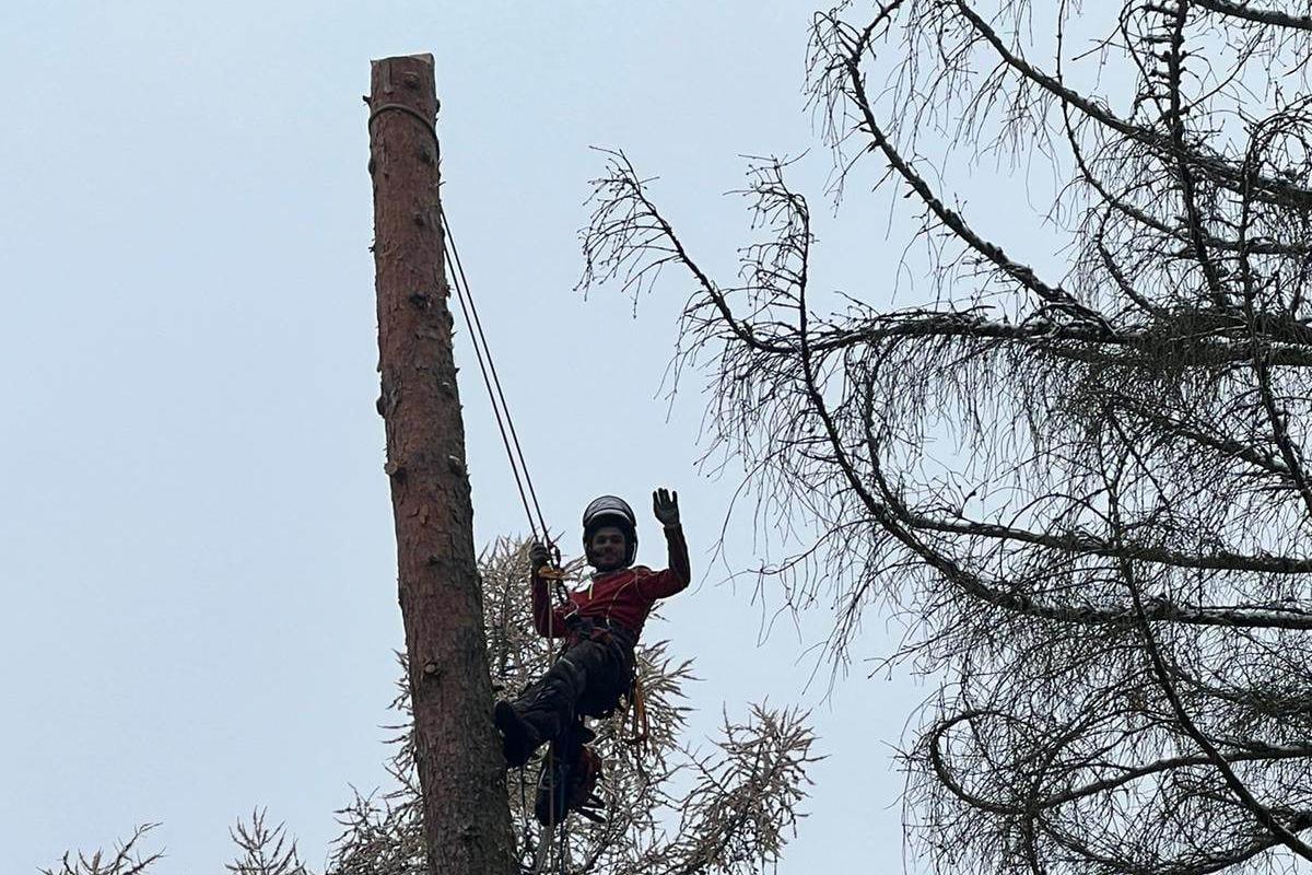 Rizikové kácení - Kryštof Feldstein