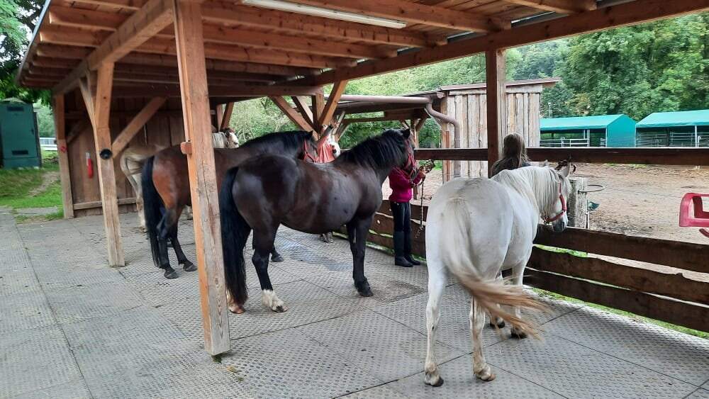 Farma Jitřenka, z.s. foto 2