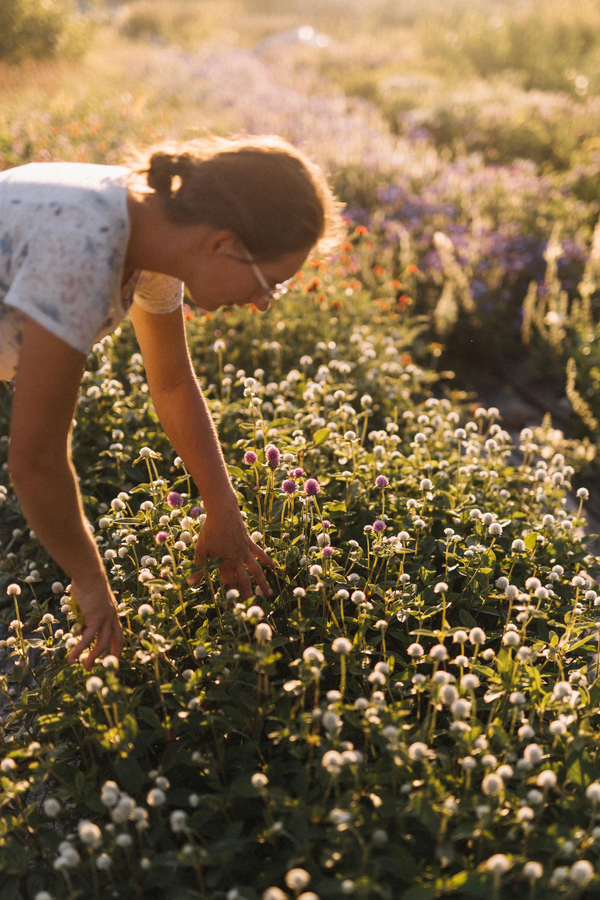 Zahradní kvítí foto 4