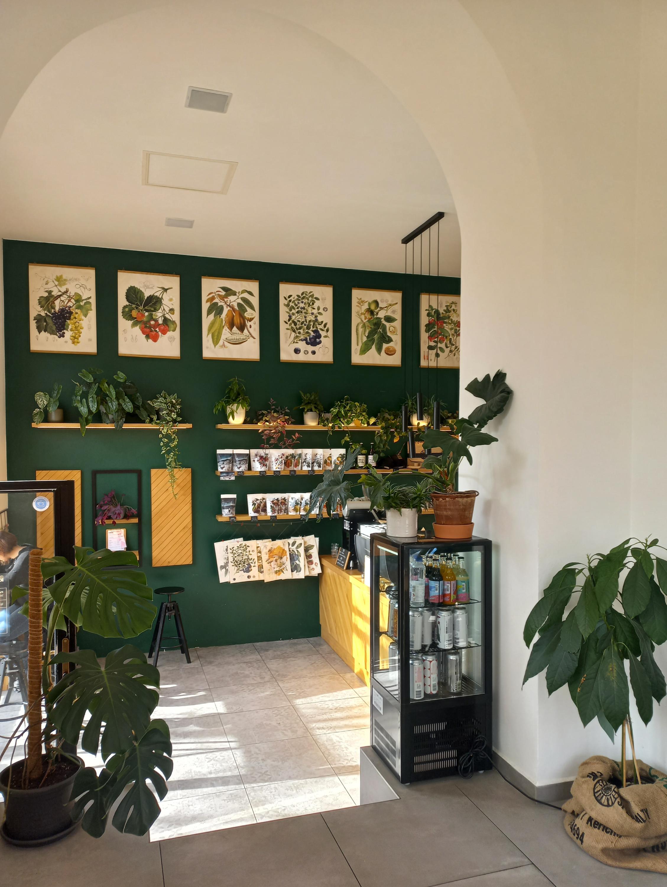 Kmen Coffee Roasters foto 4