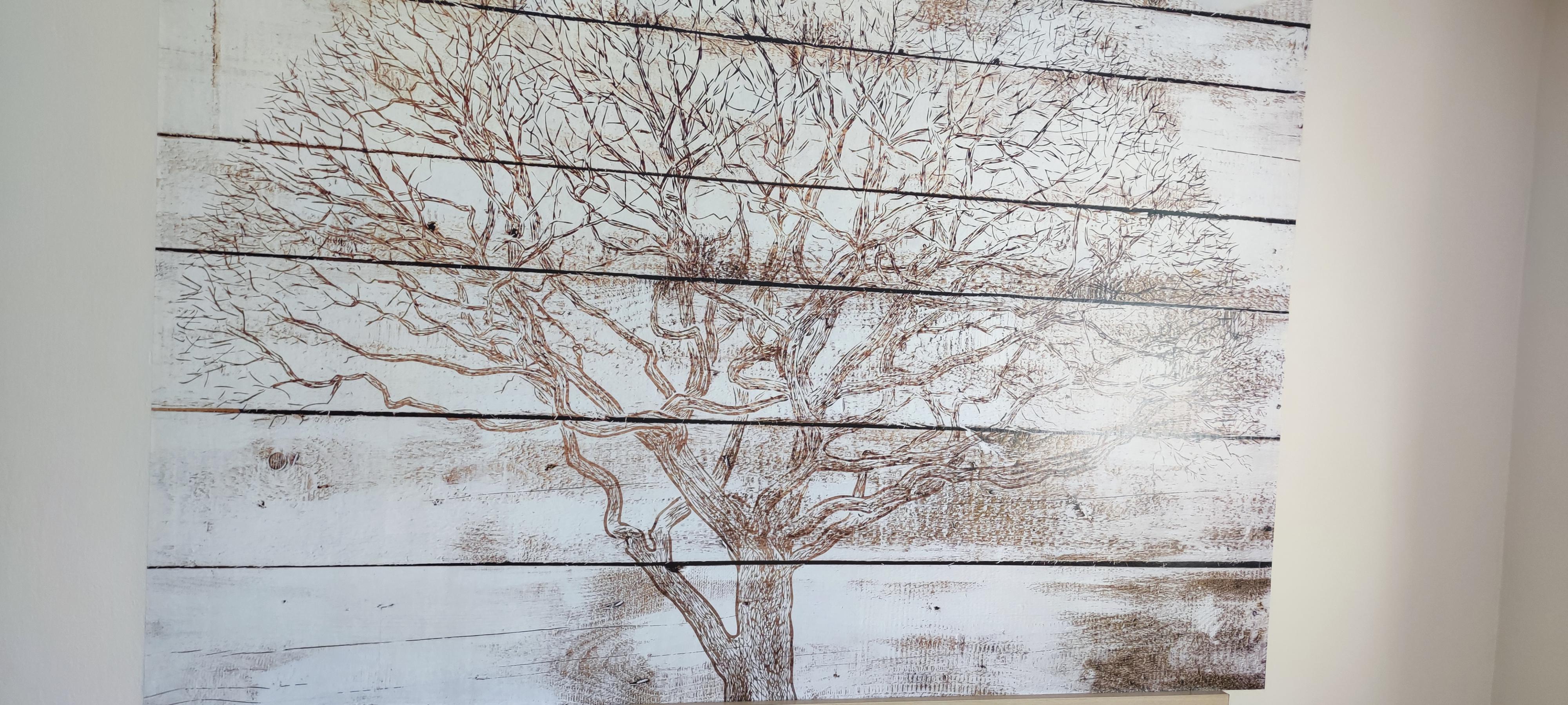 ToMal - malování a tapetování foto 6