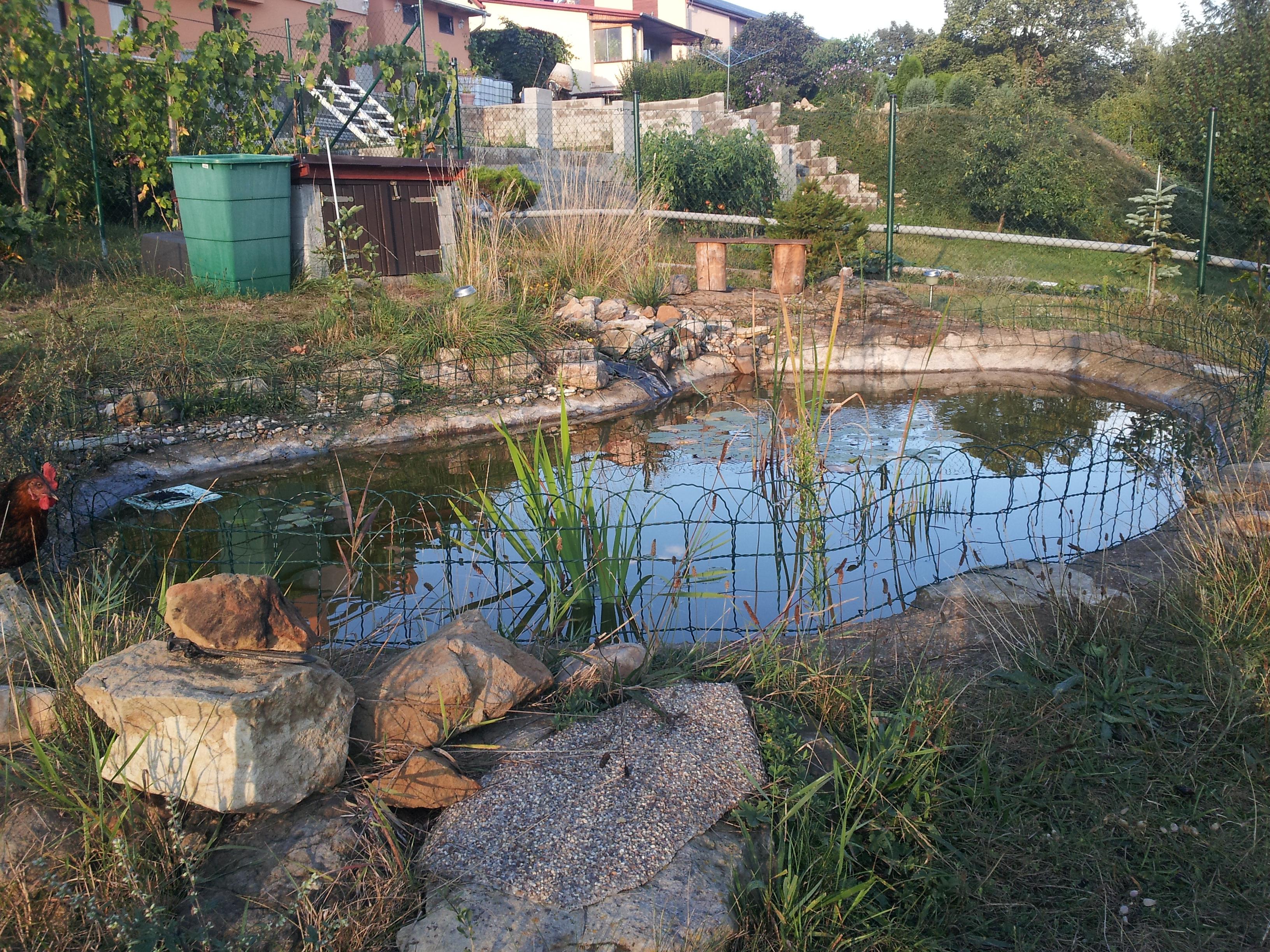 Prodej medu ze dvora foto 4