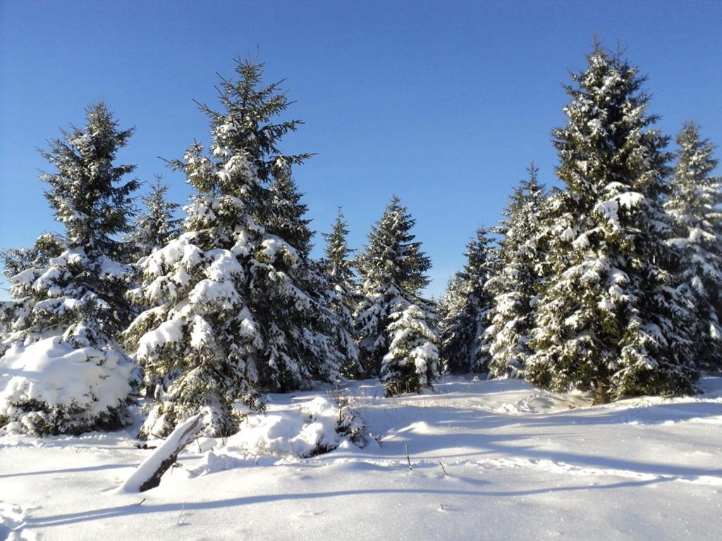 Restaurace Chata Bernava