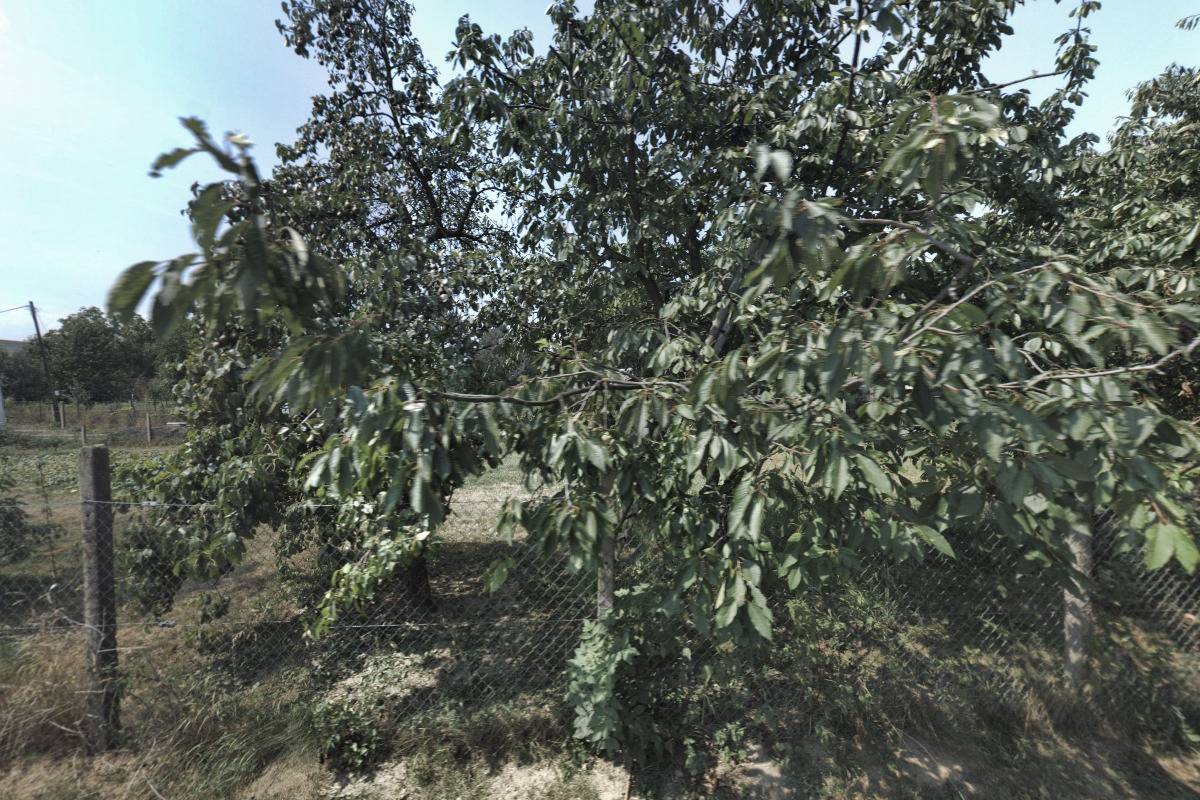 Zahradní restaurace Na rybníčku foto 3