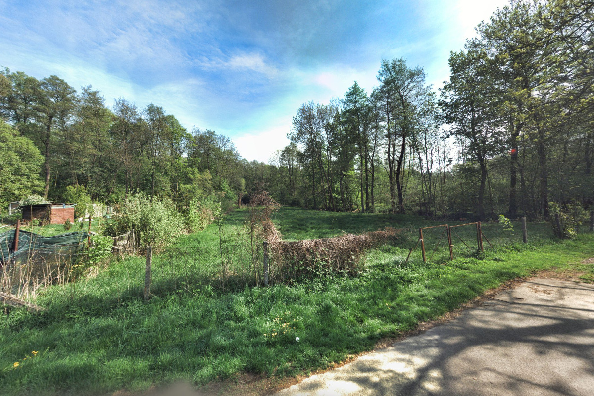 Energie koně - Petra Hynková foto 3