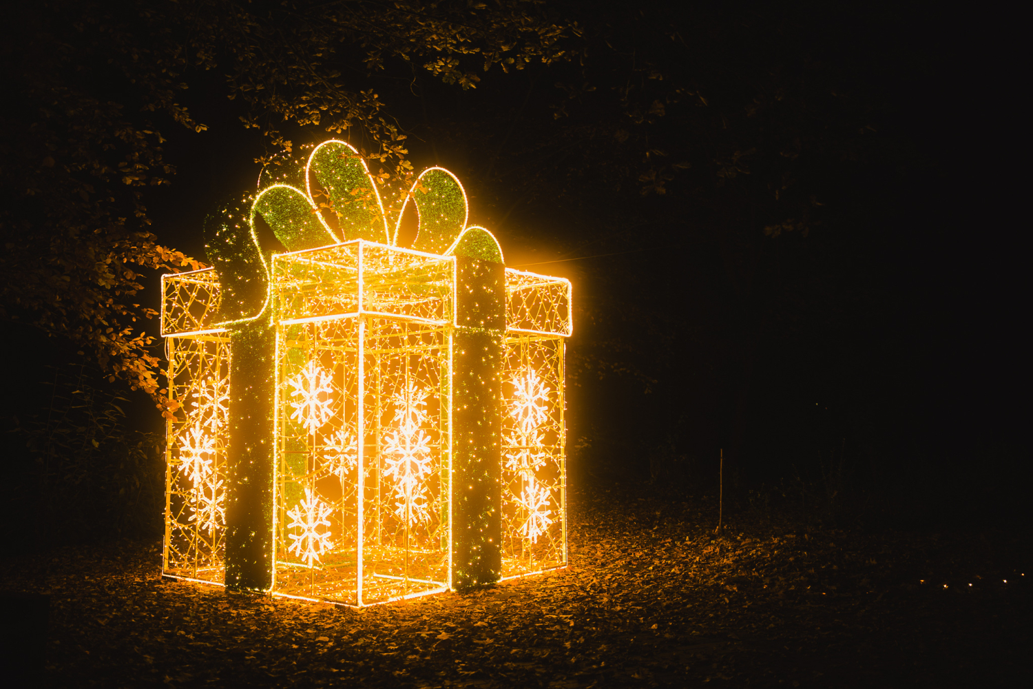 Světla vyprávějí foto 4