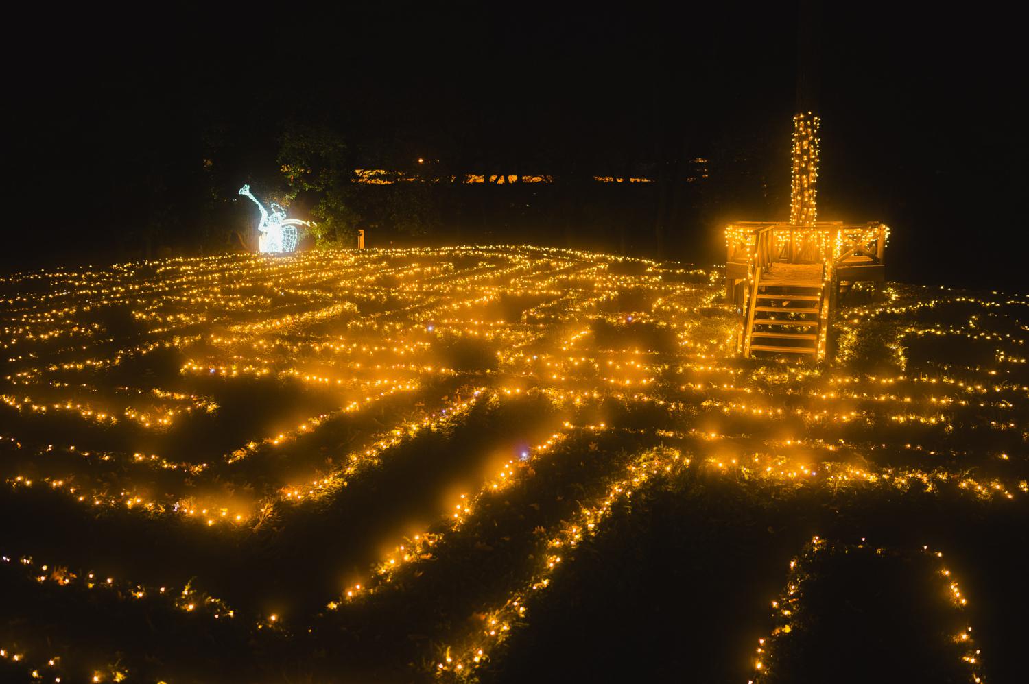 Světla vyprávějí foto 1