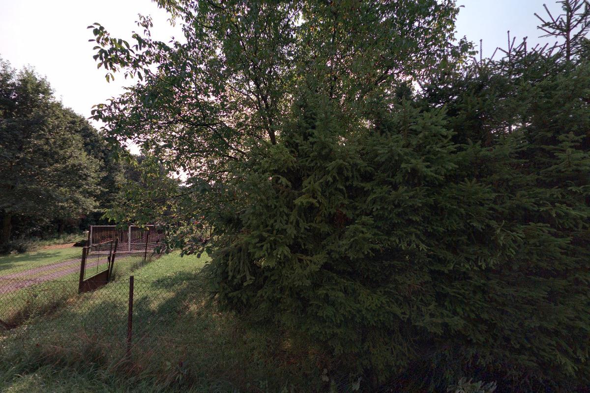 WebmaeStro - Pavel Stratil