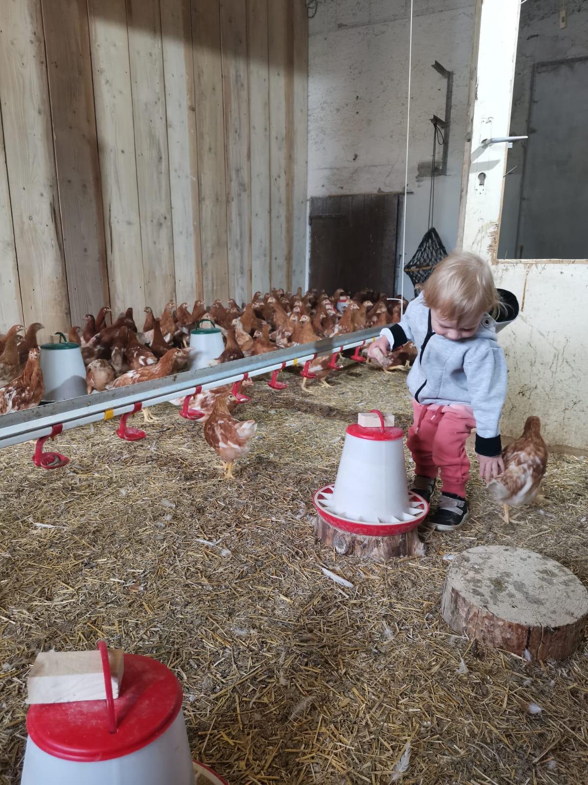 FARMA POKLUDA, s.r.o. foto 2