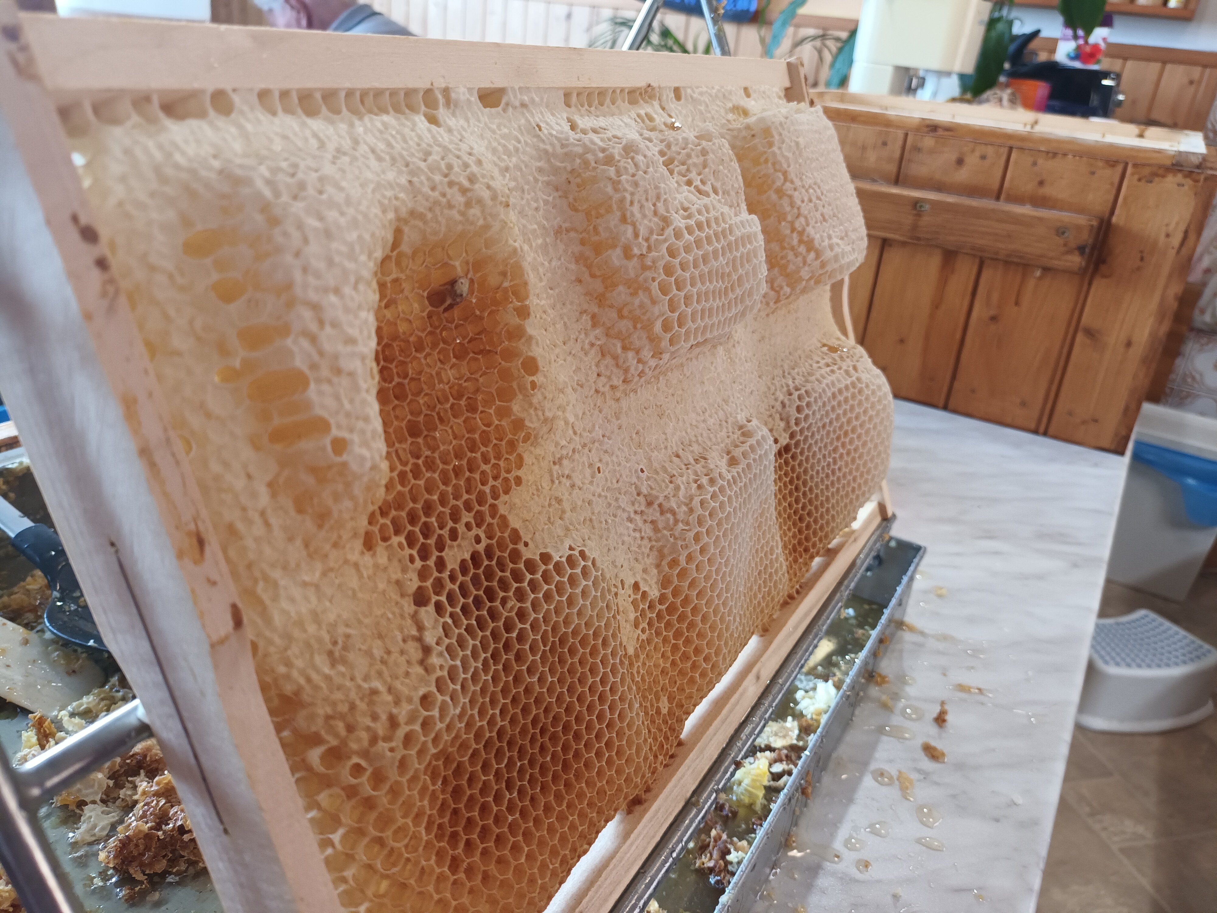 Včelařství Ječný foto 3