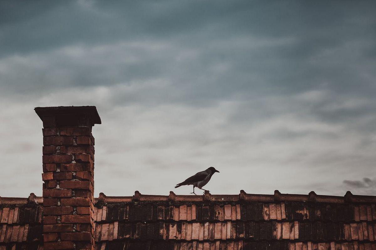 Kominictví Petr Račický