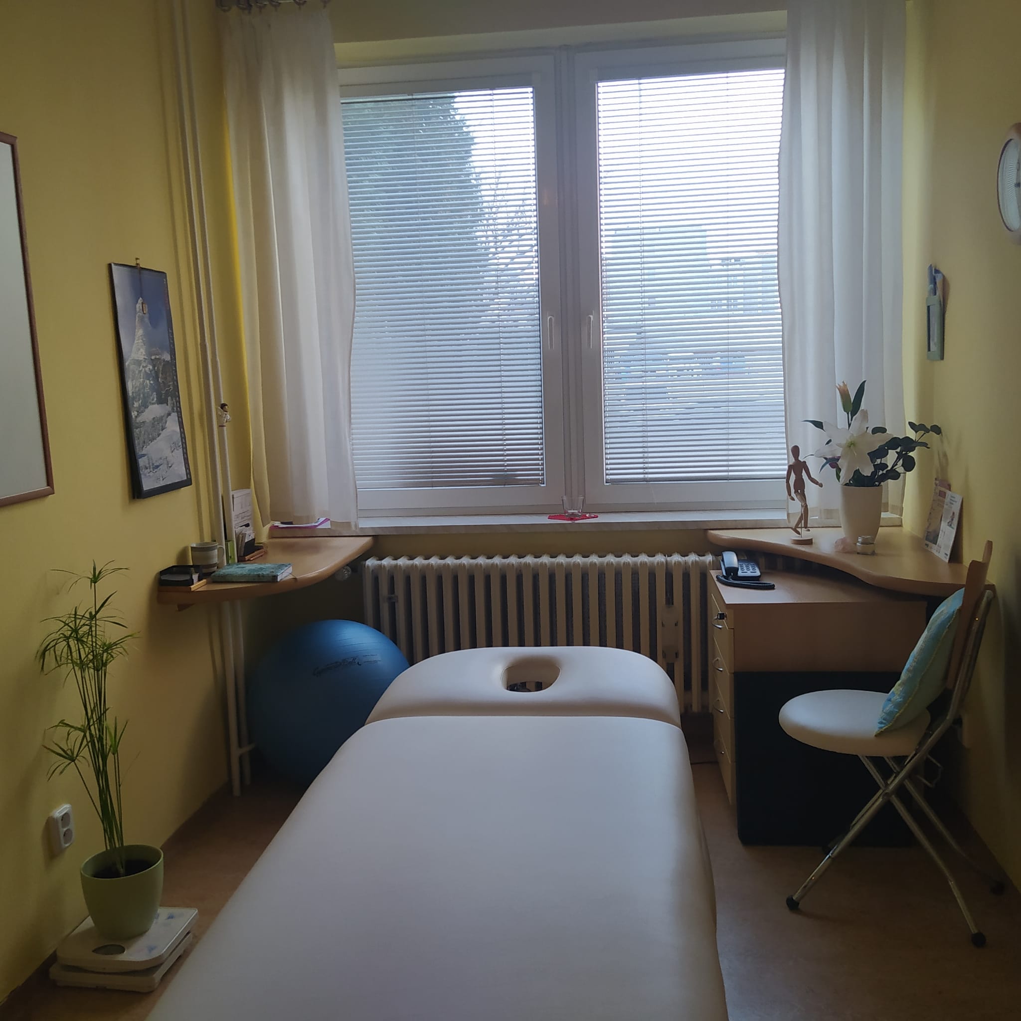 Zora Mertová - REHABILITACE foto 2