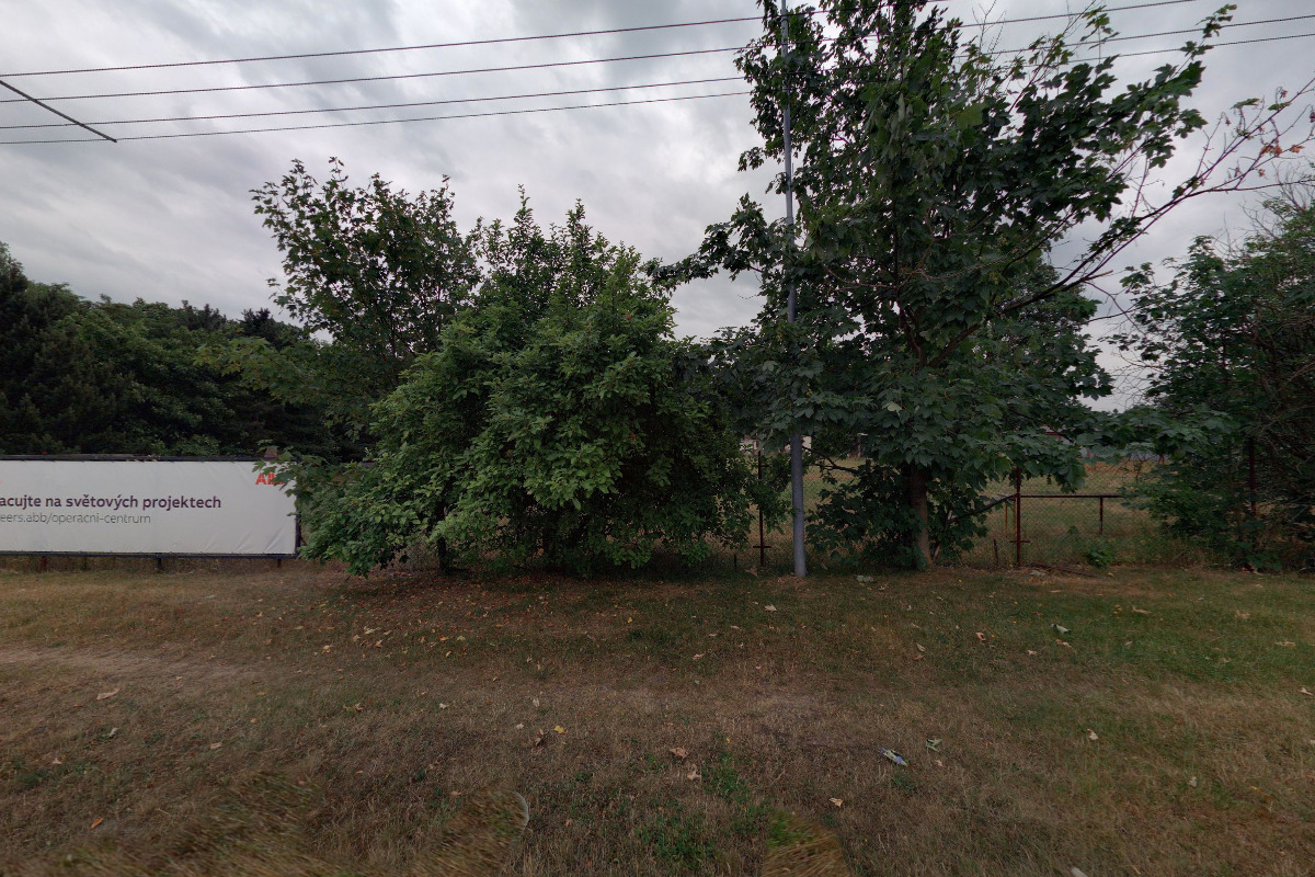 Kynologický klub Plzeň-Bory spolek foto 1