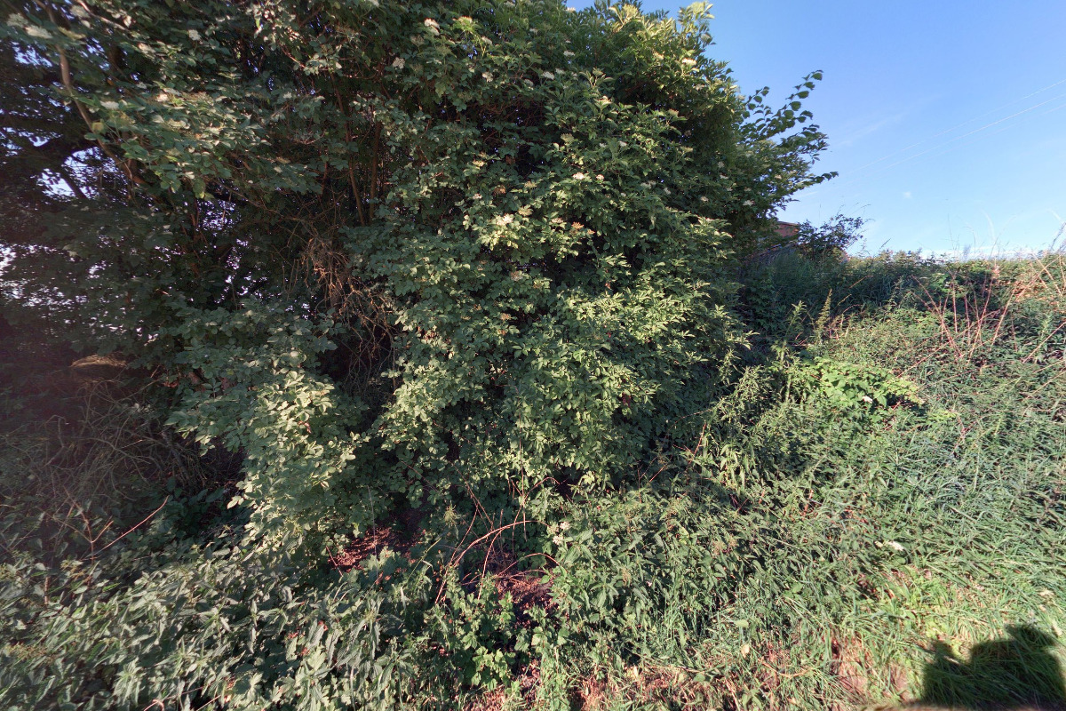 Jaroslav Dolejš DOZANA