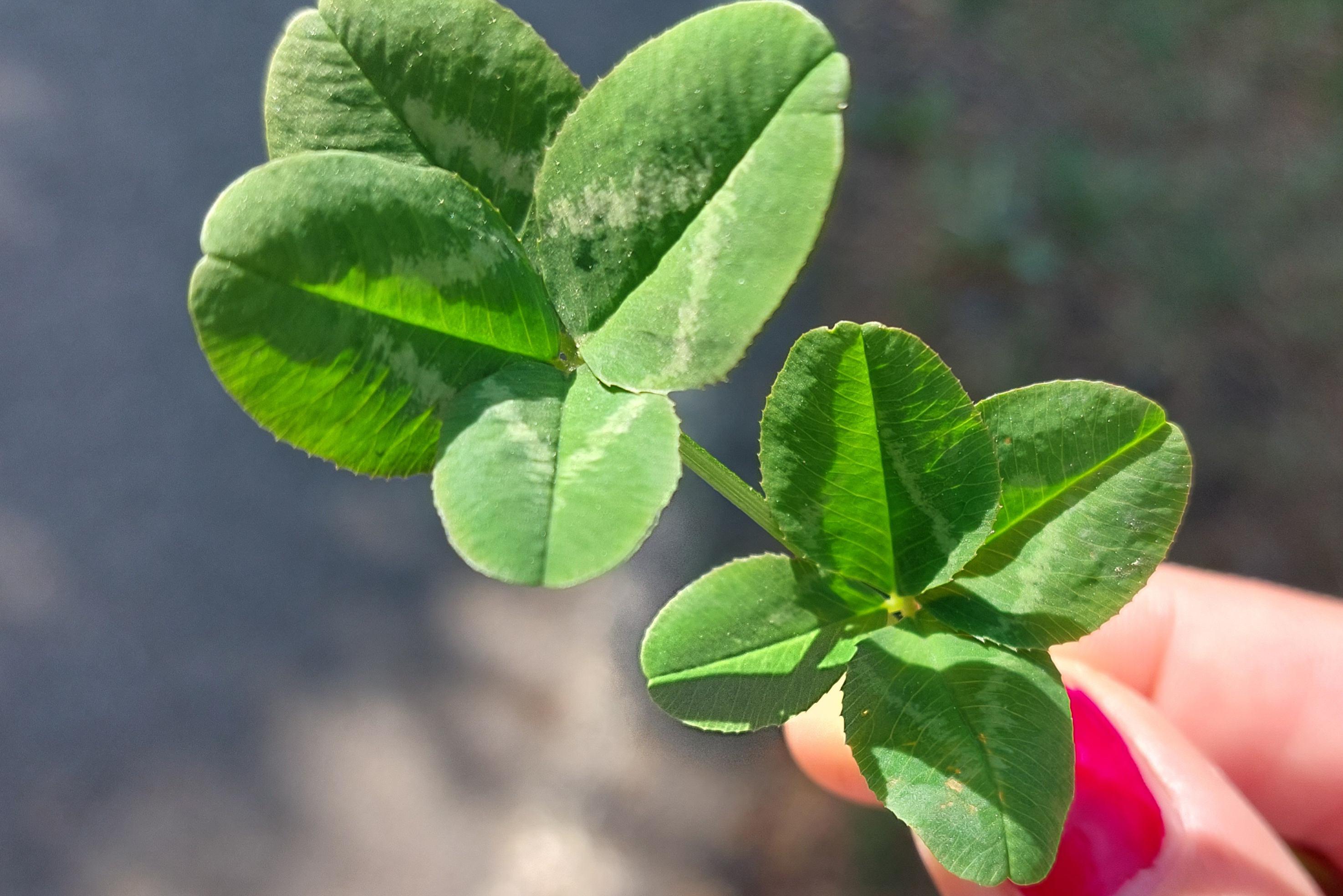 Zuzana Khalilová Terapie, koučink, masáže