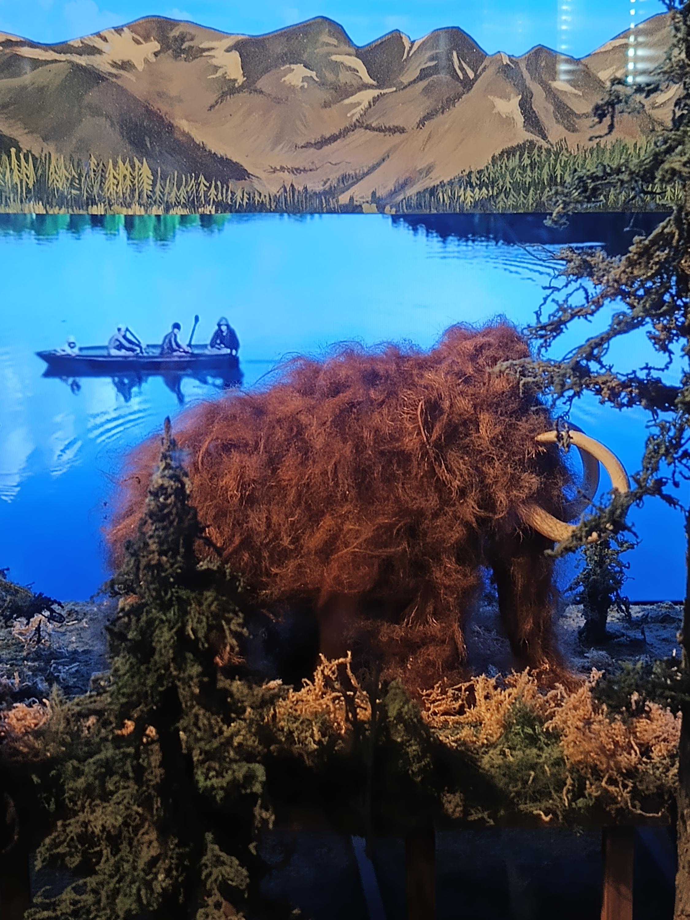 Muzeum Karla Zemana foto 5