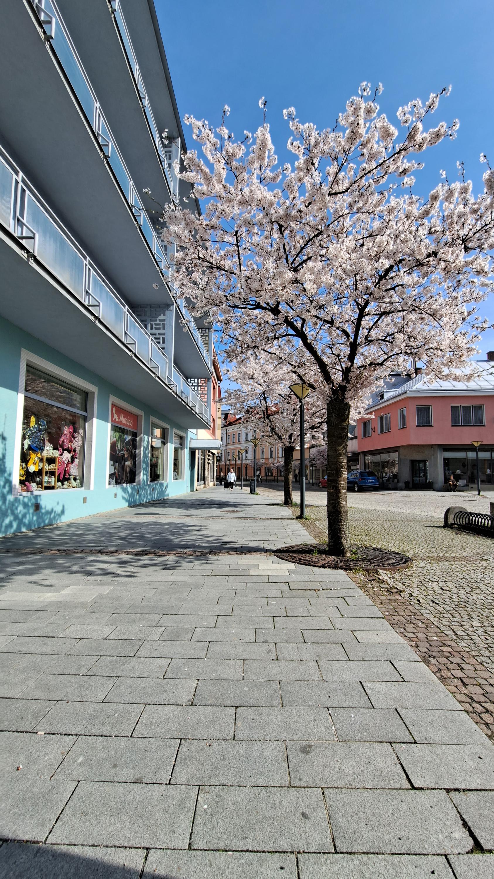 Coffee Garden foto 5