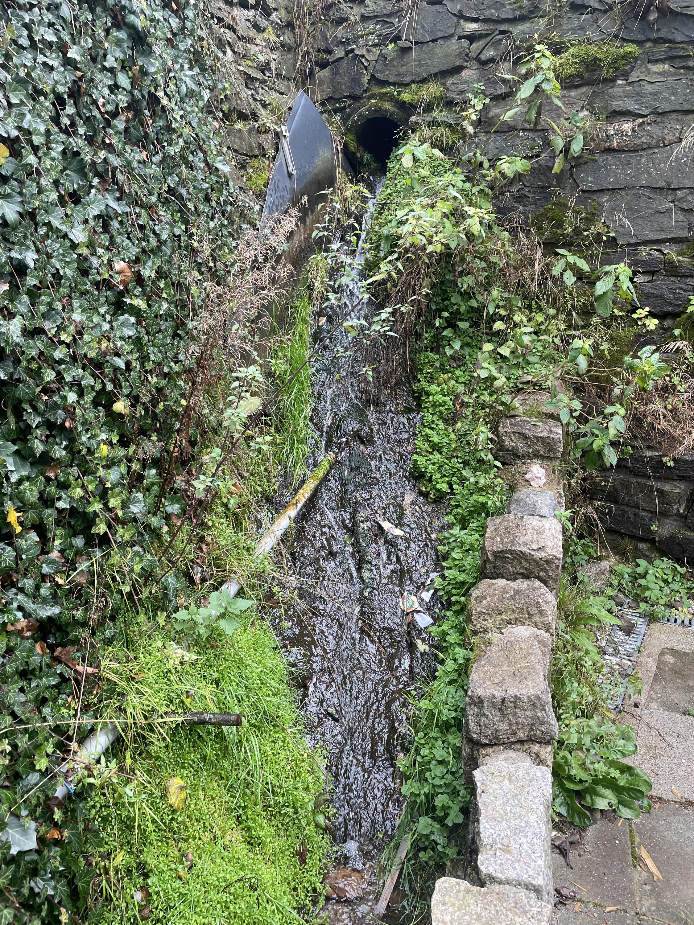 Dům Rokytnická studánka - Dolní Rokytnice foto 4