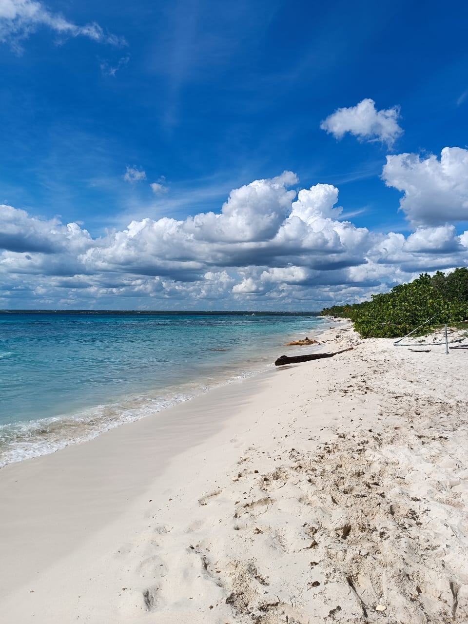 Chocolate Travel Dominikana foto 3