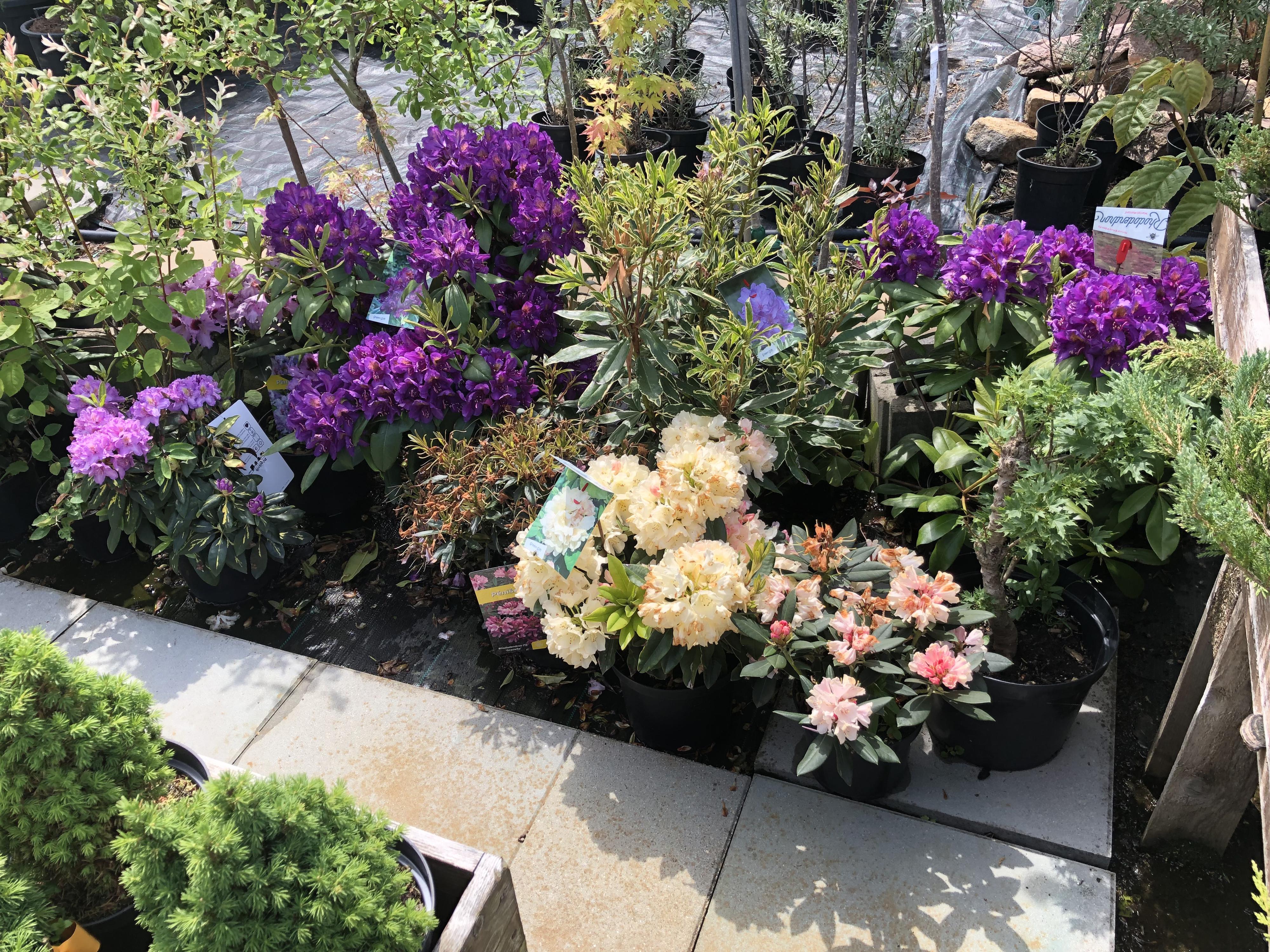 Zahradnictví Loučná