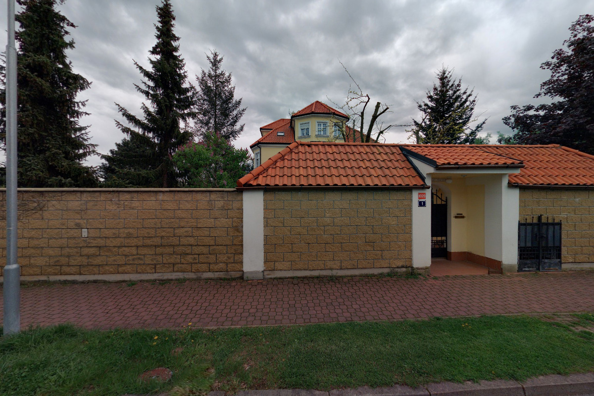 Nafrněná liška foto 6