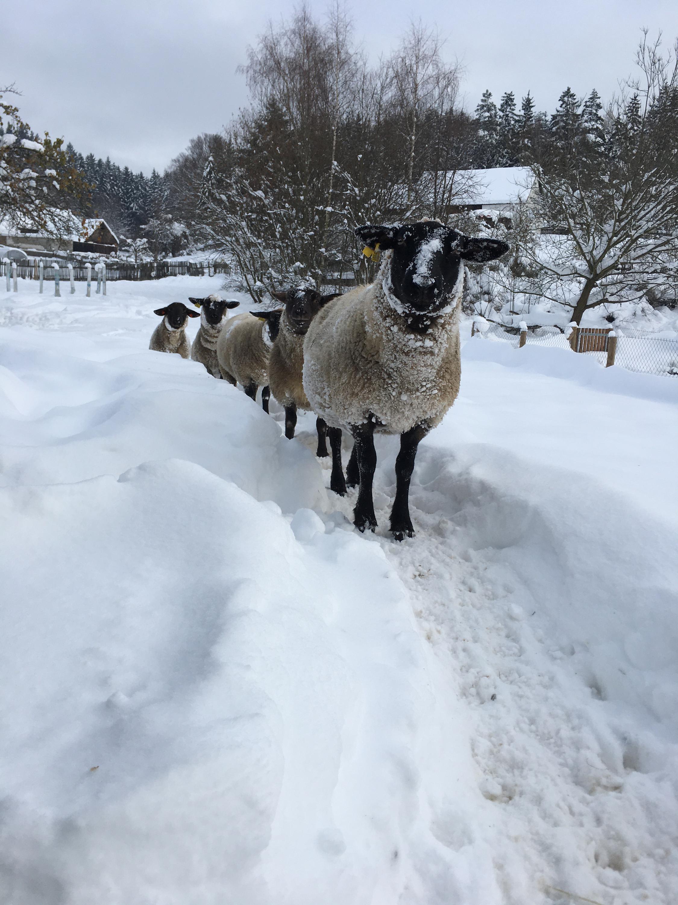 KOČIČÁK - Rodinné Centrum foto 1